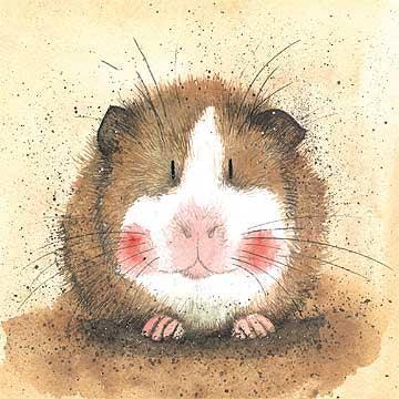 Alex Clark Gilbert Guinea Pig Card - Bunny Creations