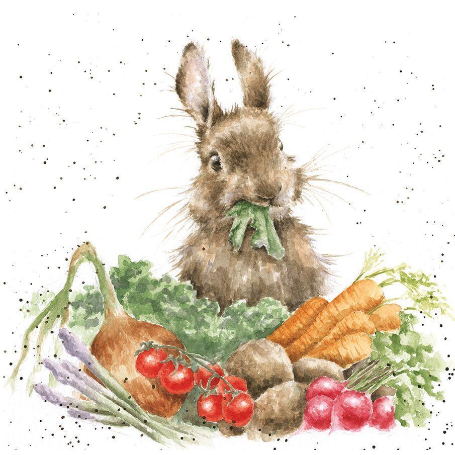 Wrendale Designs Grow Your Own Bunny Card - Bunny Creations