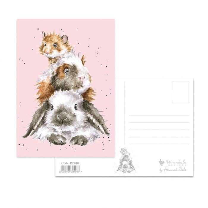 Wrendale Designs Piggy in the Middle Postcard – Bunny Creations