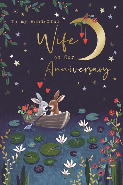 To My Wonderful Wife On Our Anniversary Bunny Rabbit Large Card