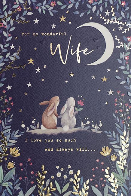 To My Wonderful Wife Bunny Rabbit Large Birthday Card