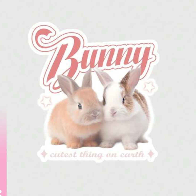 Cute Bunny Rabbit Light Vinyl Decal Sticker - Bunny Creations