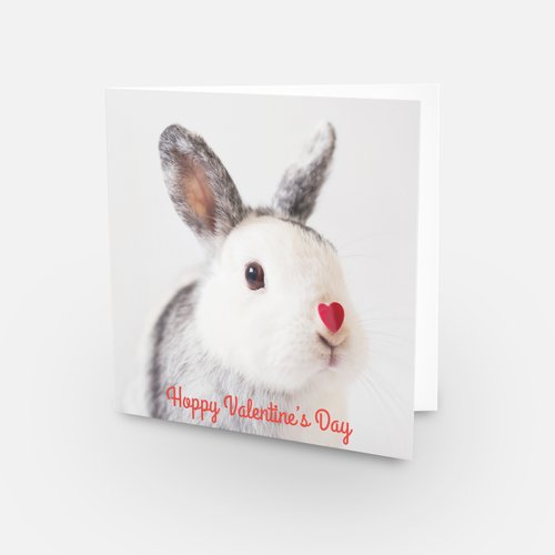Hoppy Valentines Day Rabbits Valentine Card