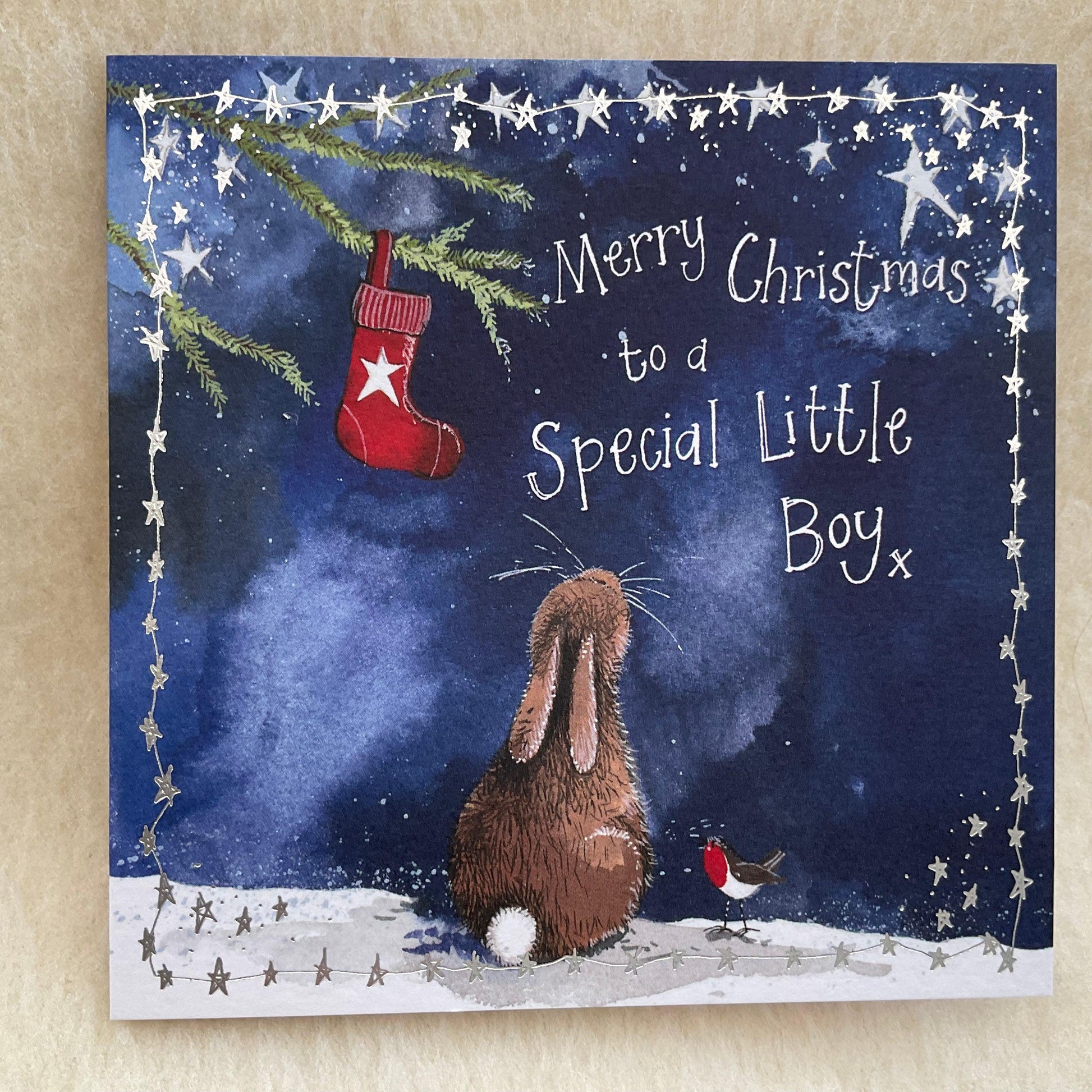 Alex Clark Special Little Boy Bunny Rabbit Christmas Card