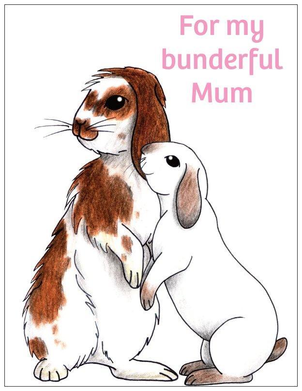 To My Bunderful Mum Bunny Rabbit Fridge Magnet - Bunny Creations