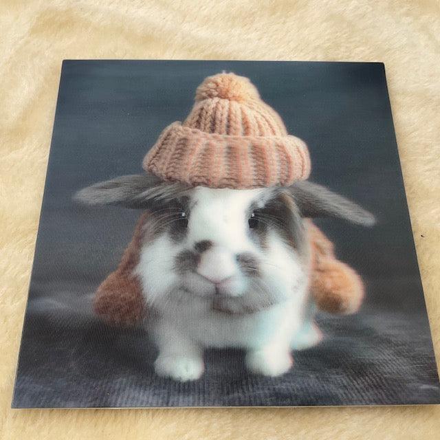 Tanya Chatwin Animal boarding G8 Ashgrove 3d lop bunny rabbit card