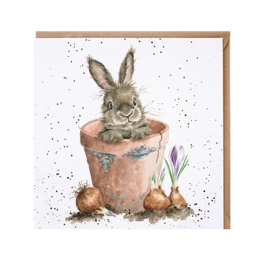 Wrendale Designs The Flower Pot Bunny Rabbit Card - Bunny Creations