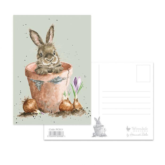 Wrendale Designs The Flower Pot Bunny Rabbit Postcard - Bunny Creations
